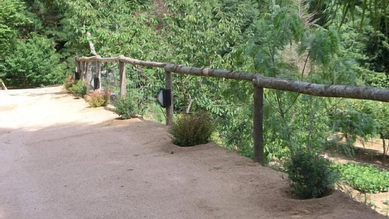 Photo of Outdoor in Arbucies
