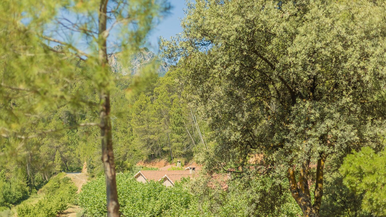 Photo of Others in Yeste