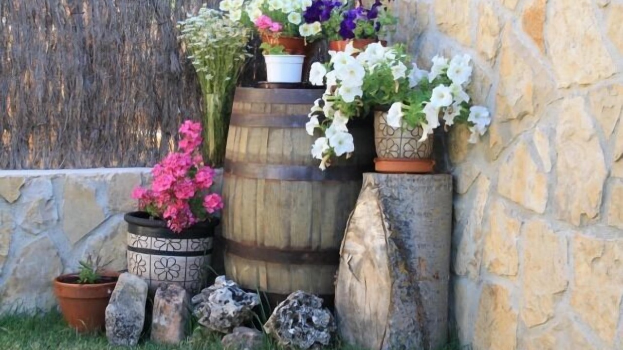 Photo of Outdoor in La Velilla