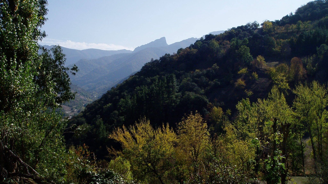Photo of Others in Cabezon de Liebana