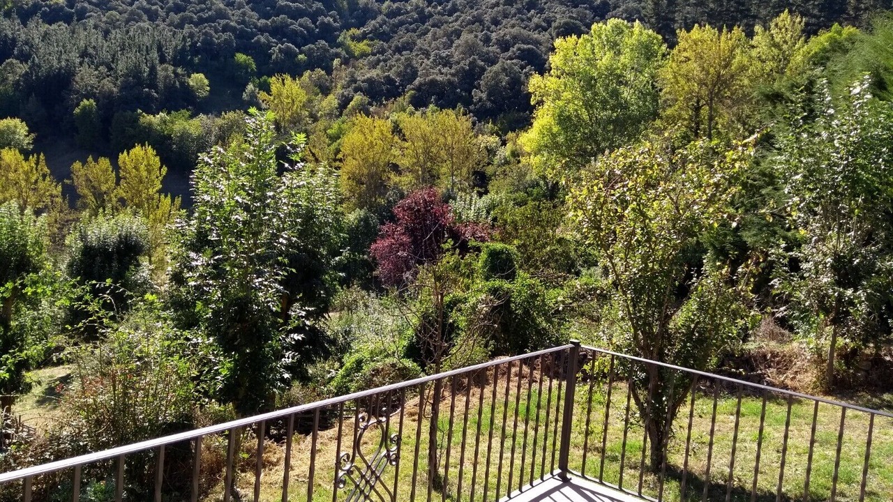 Photo of Others in Cabezon de Liebana