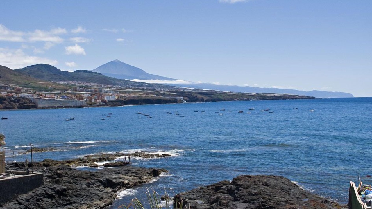 Photo of Others in Punta del Hidalgo