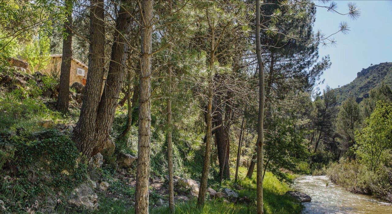 Photo of Outdoor in Yeste