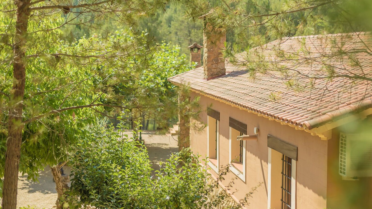 Photo of Outdoor in Yeste