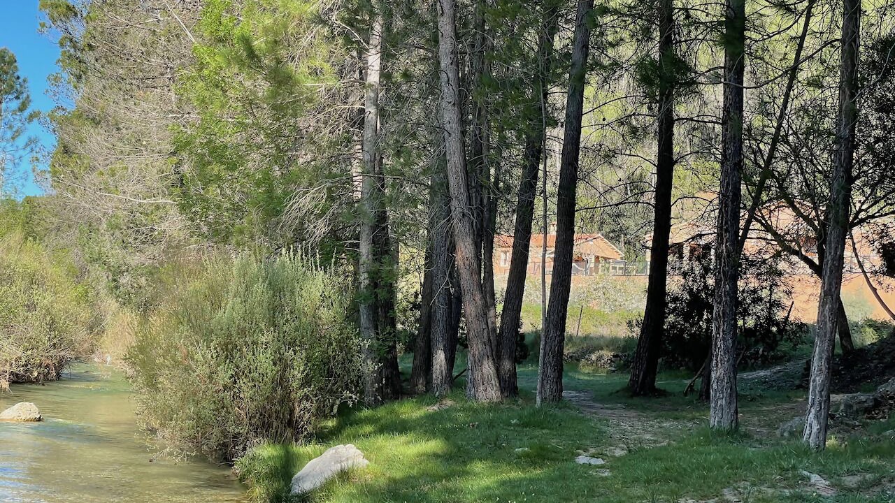 Photo of Others in Yeste