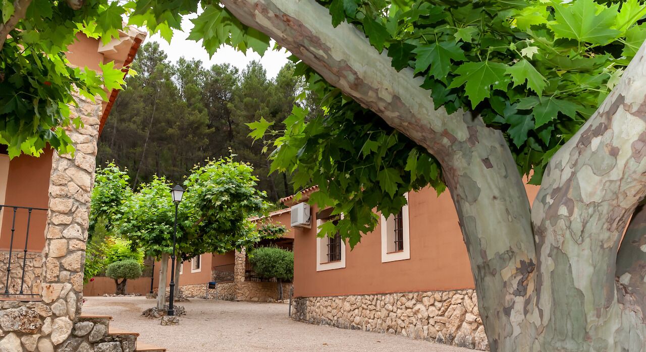 Photo of Outdoor in Yeste