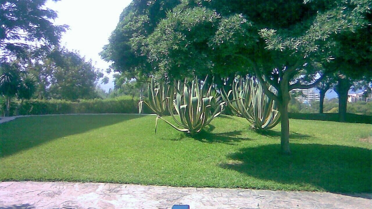 Photo of Outdoor in Benalmadena Costa