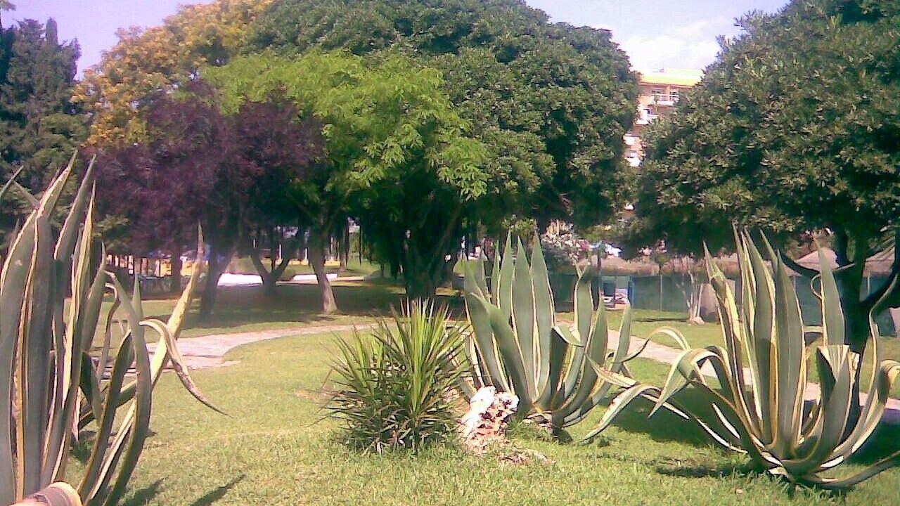 Photo of Outdoor in Benalmadena Costa