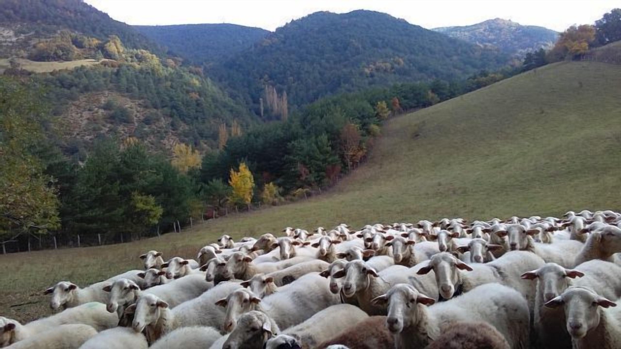 Photo of Outdoor in Esteribar