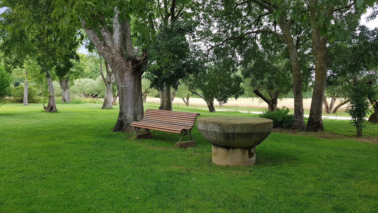 Photo of Outdoor in Queixas