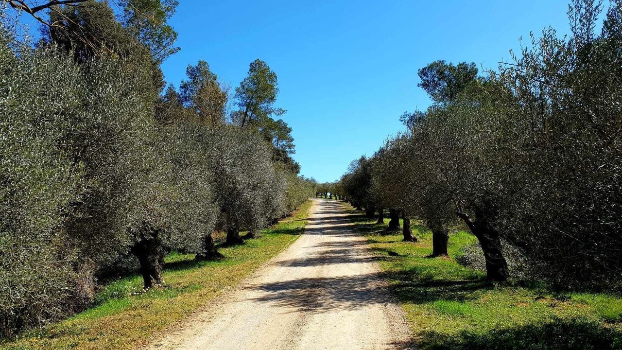 Photo of Others in Queixas