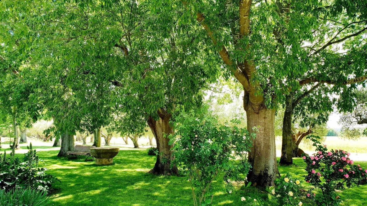 Photo of Outdoor in Queixas