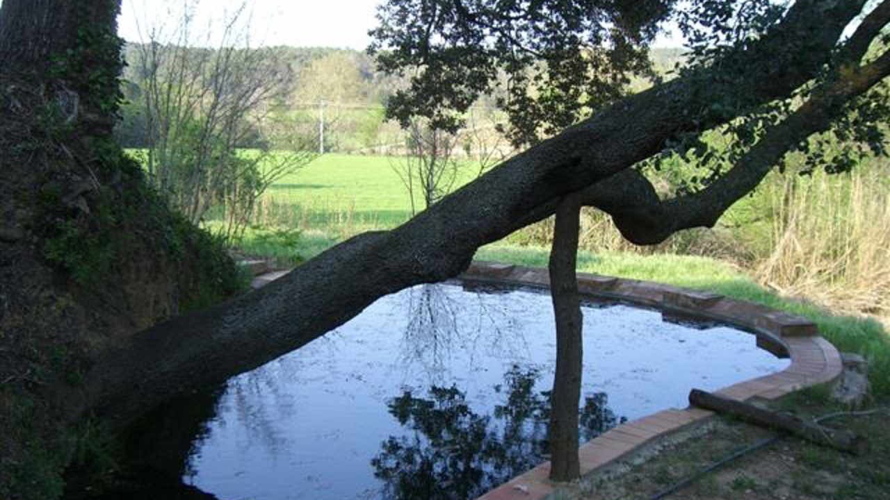 Photo of Outdoor in Queixas