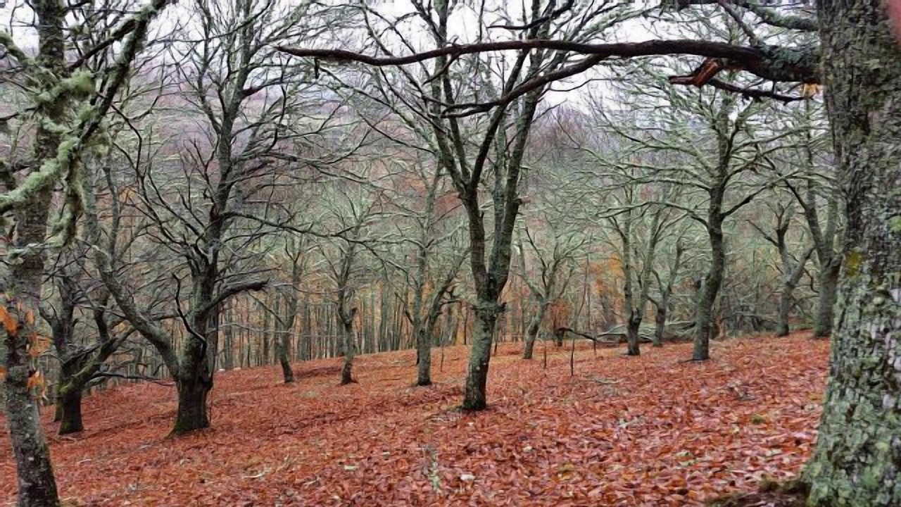 Photo of Outdoor in Molinaseca