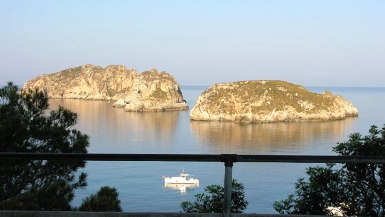 Photo of Others in Santa Ponsa