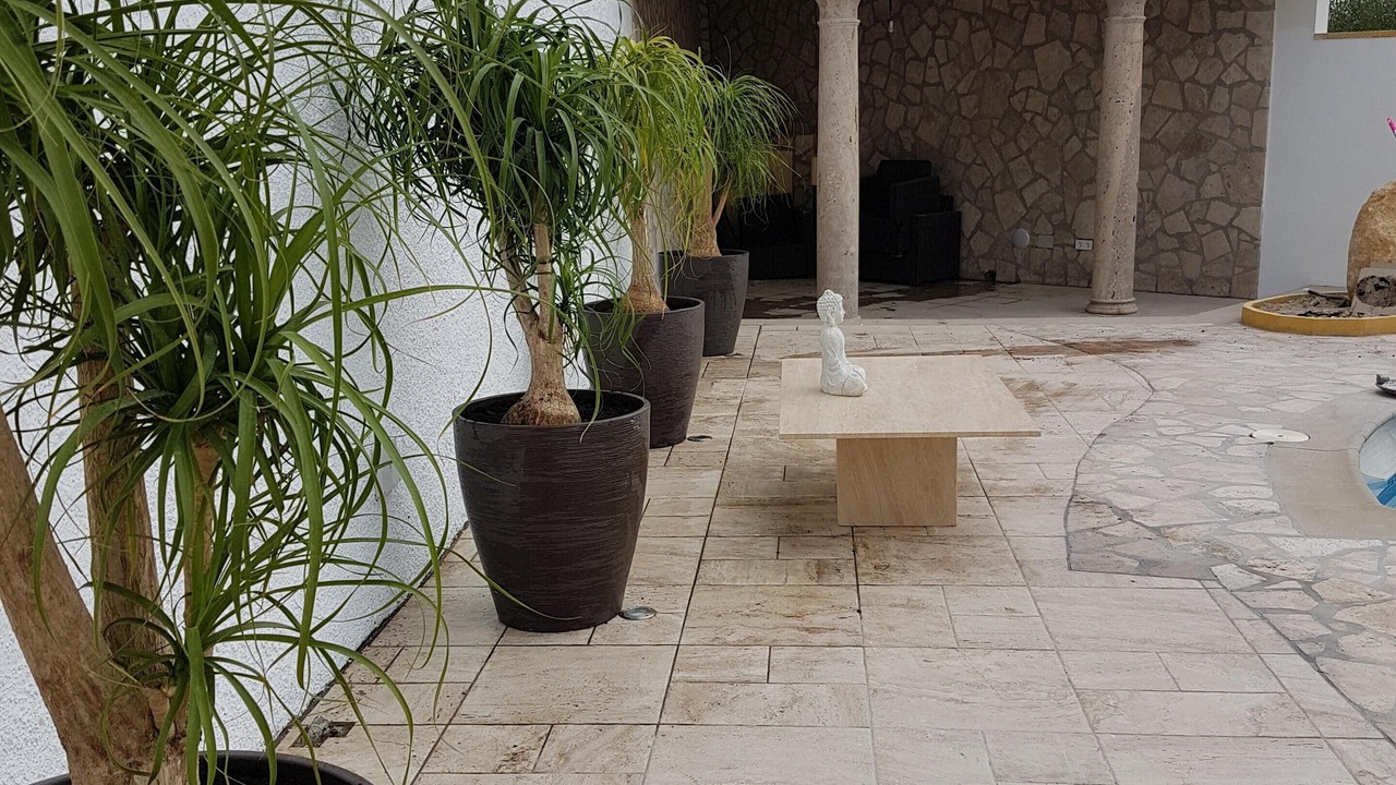 Photo of Patio Balcony in Ventanicas-El Cantal