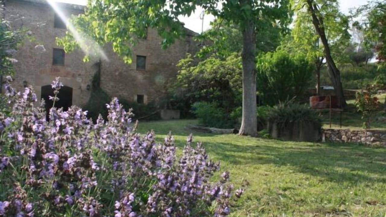 Photo of Outdoor in Vilademuls