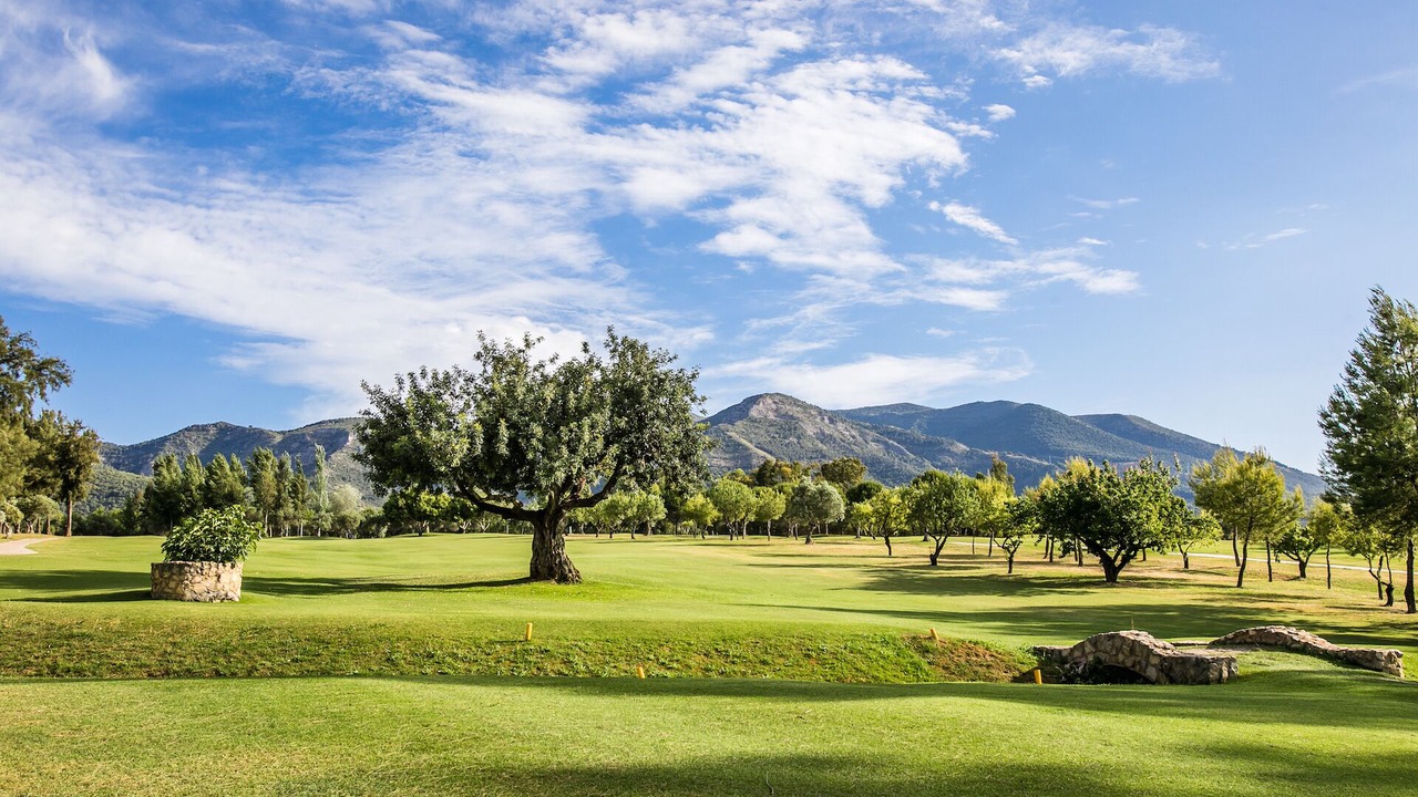 Photo of Others in Pinos de Alhaurin