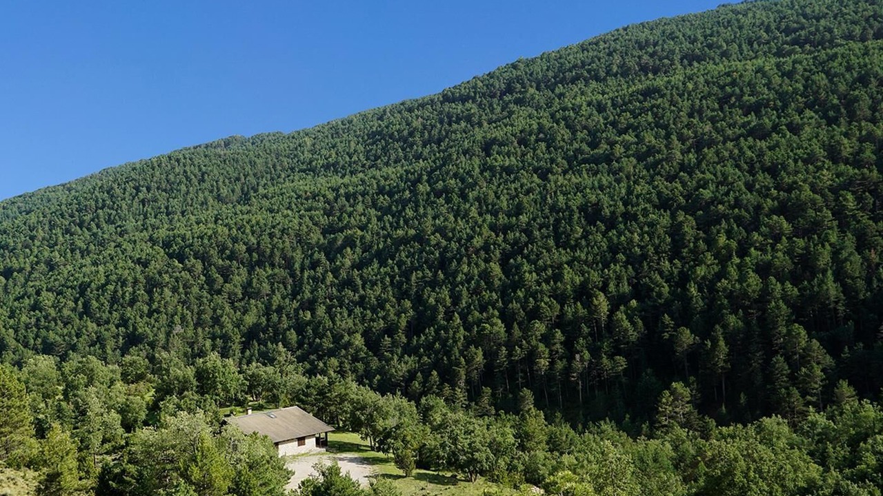 Photo of Others in Coll de Nargo