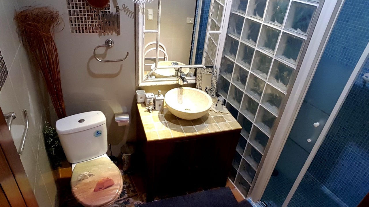 Photo of Bathroom in Arico