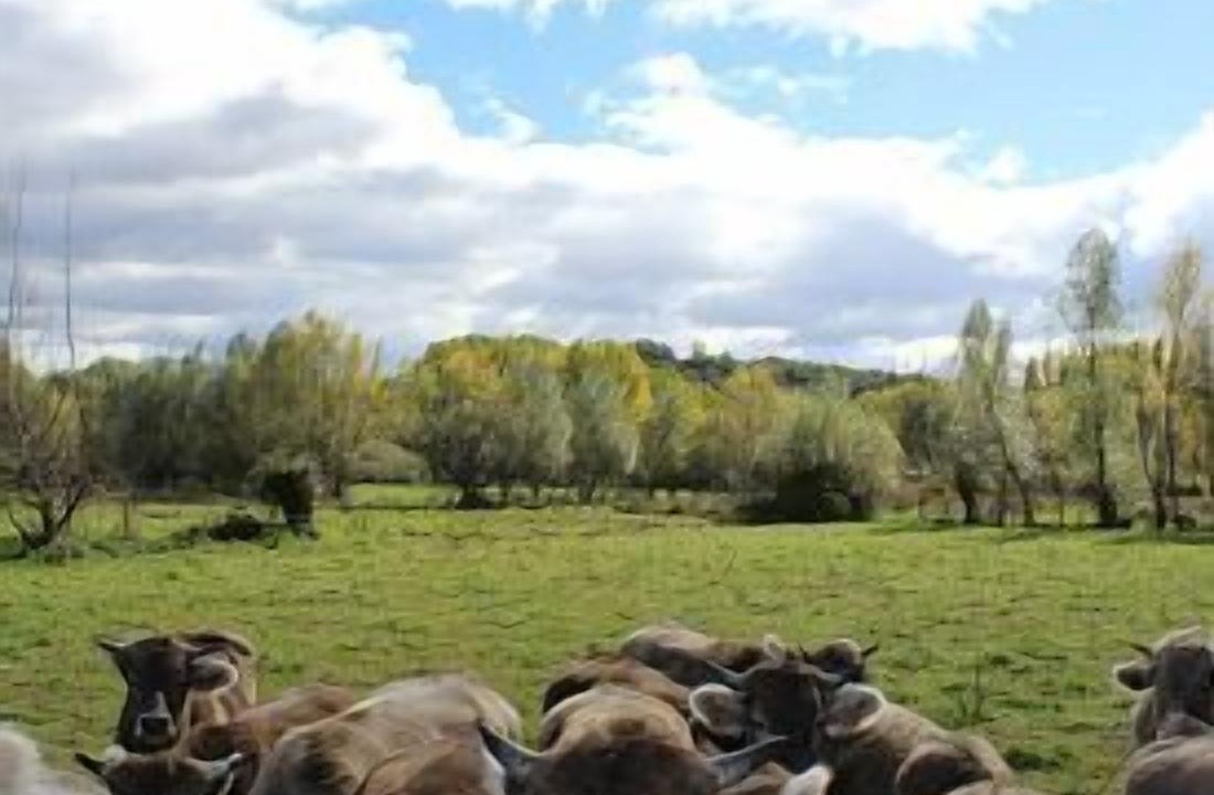 Photo of Others in Santa Maria de Ordas