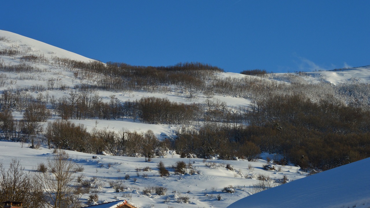 Photo of Others in Fontibre