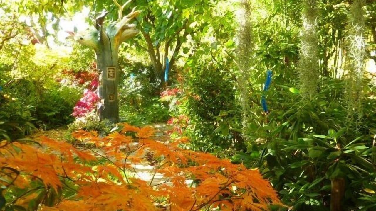Photo of Outdoor in San Miguel del Robledo