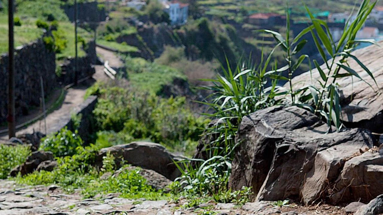 Photo of Outdoor in Las Aguas