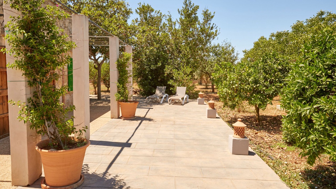 Photo of Patio Balcony in Binissalem