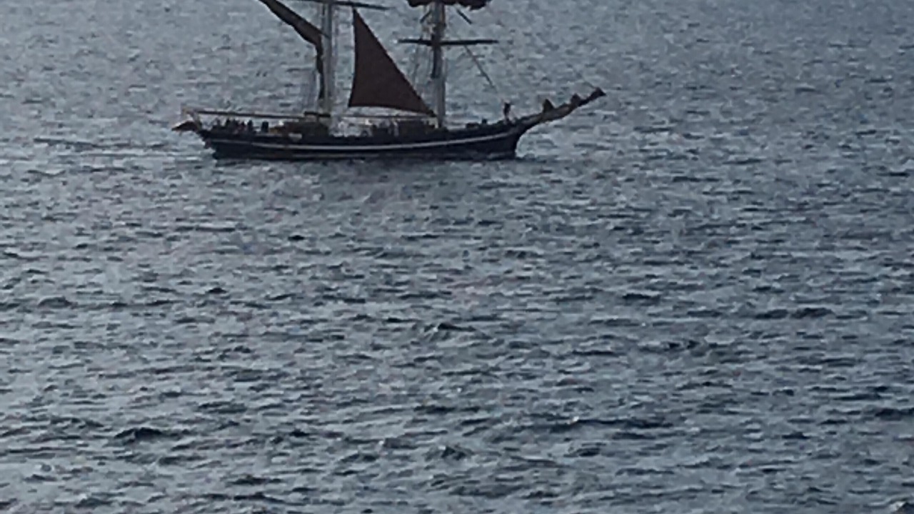 Photo of Others in Arona