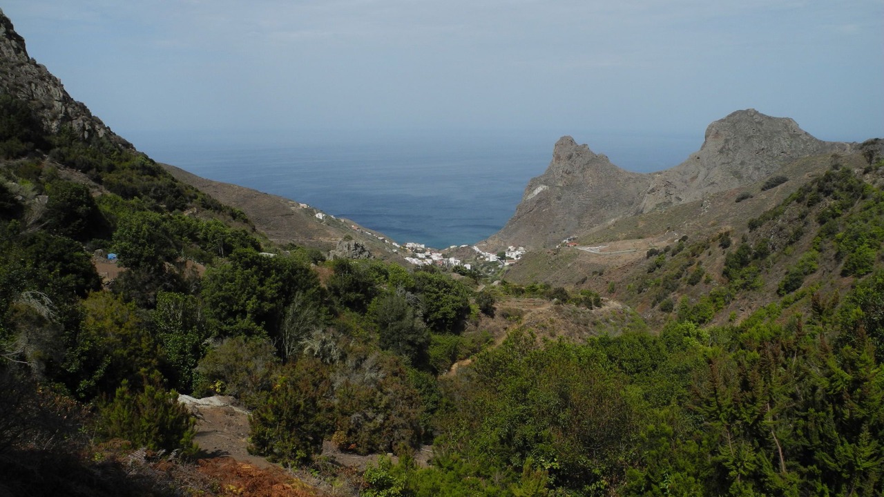 Photo of Others in Tejina