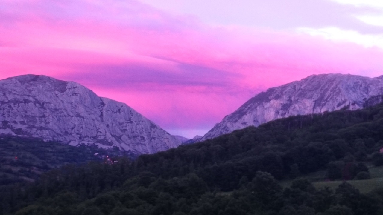 Photo of Others in Campiello