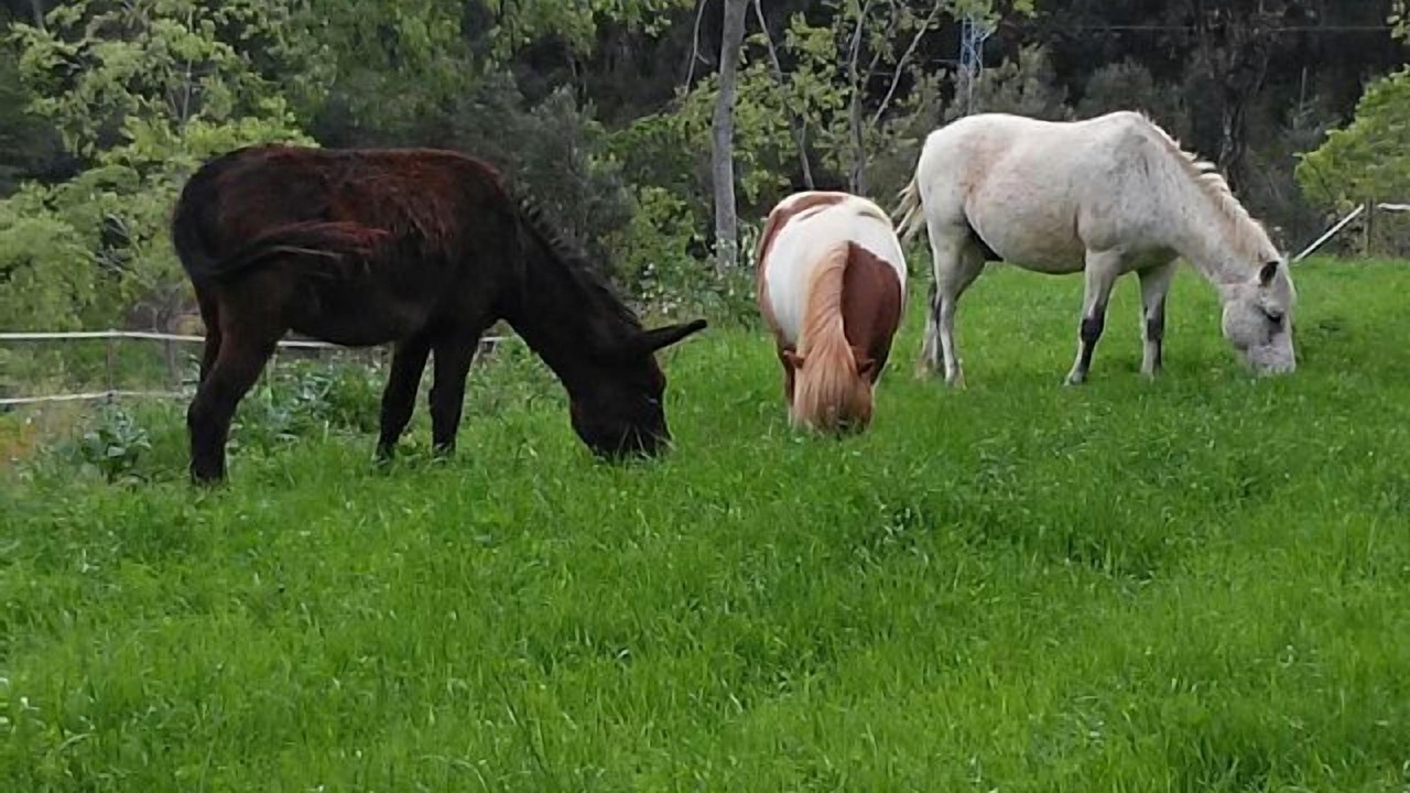 Photo of Outdoor in Arbucies