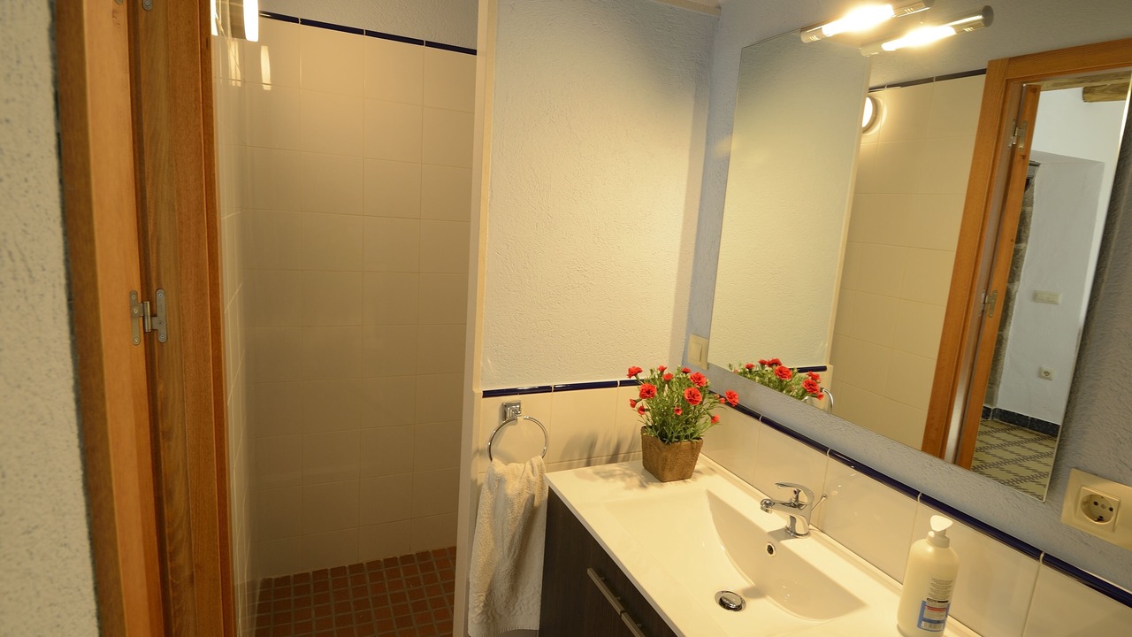 Photo of Bathroom in Arbucies