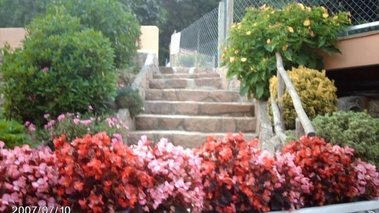Photo of Outdoor in Arbucies
