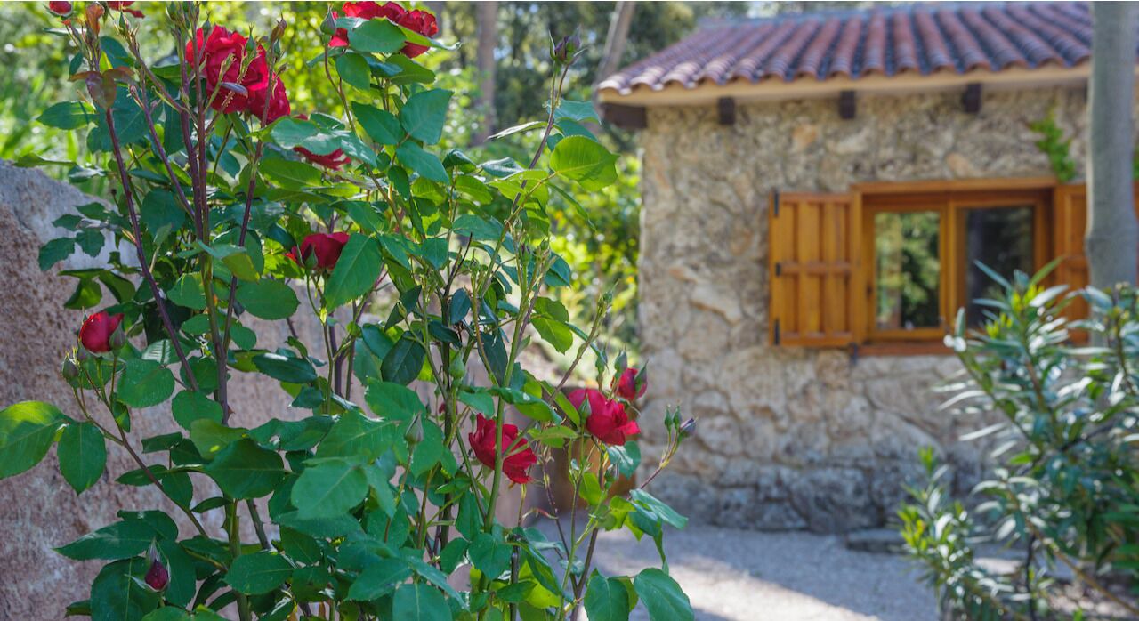 Photo of Outdoor in Yeste
