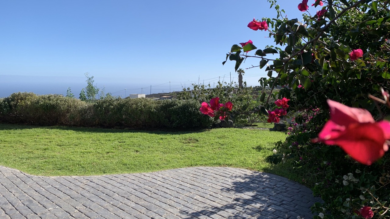 Photo of Outdoor in Guimar