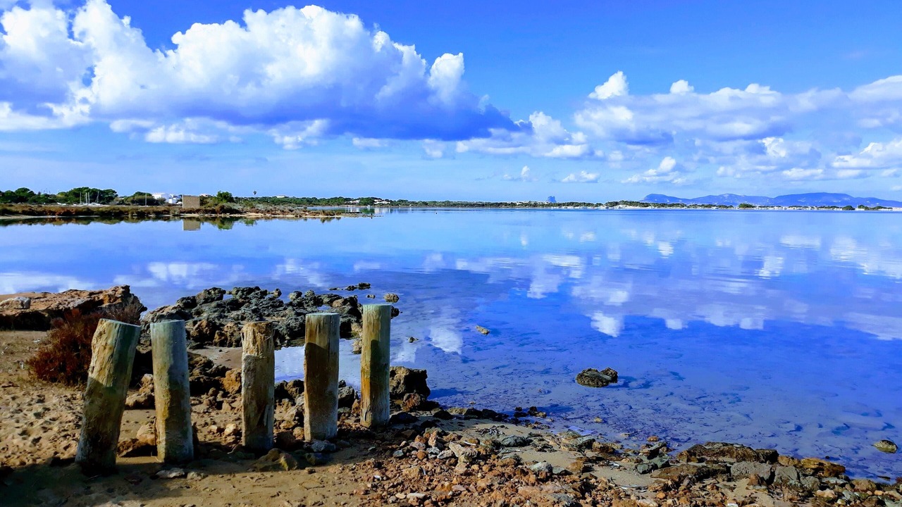 Photo of Others in Formentera