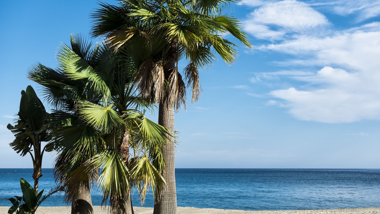 Photo of Others in Fuengirola
