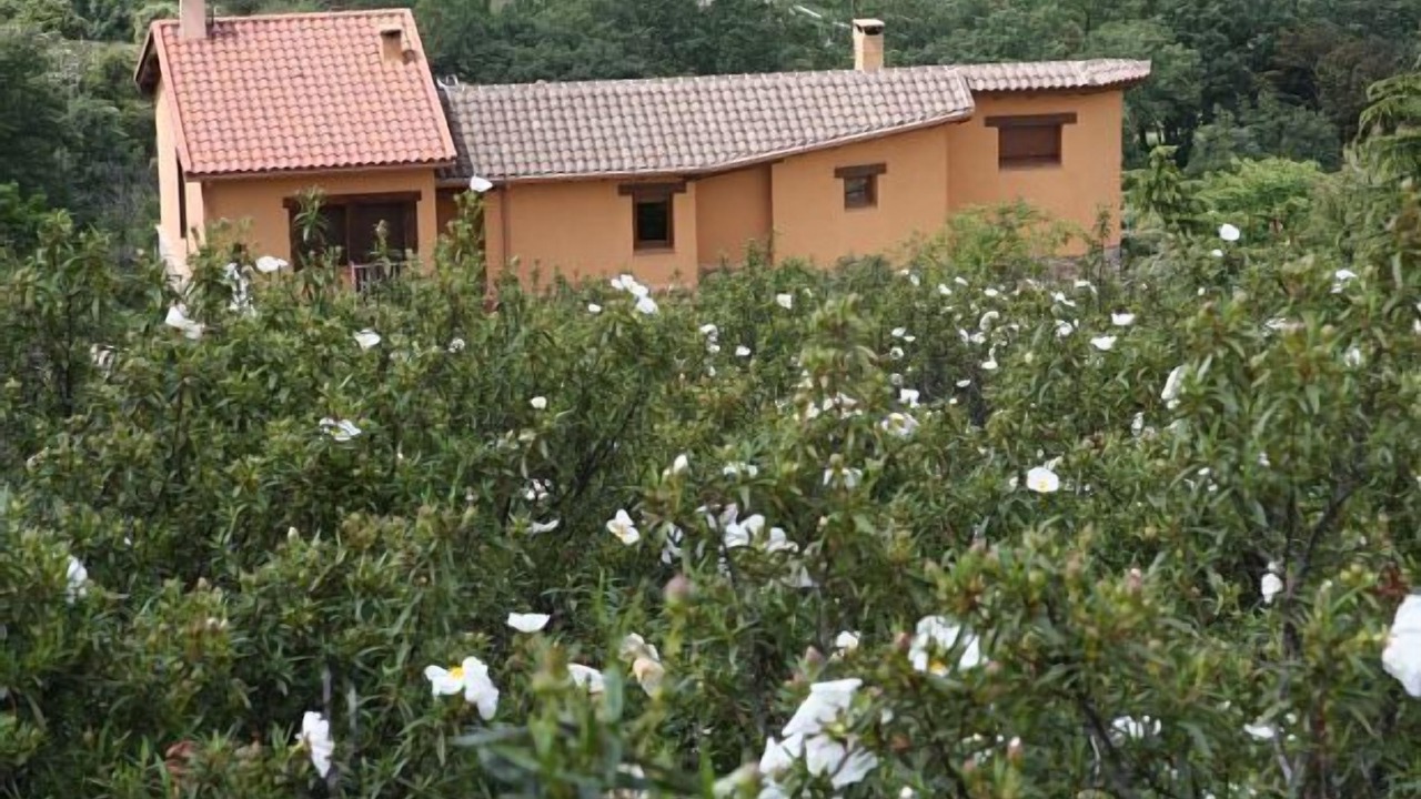Photo of Outdoor in Berzosa del Lozoya