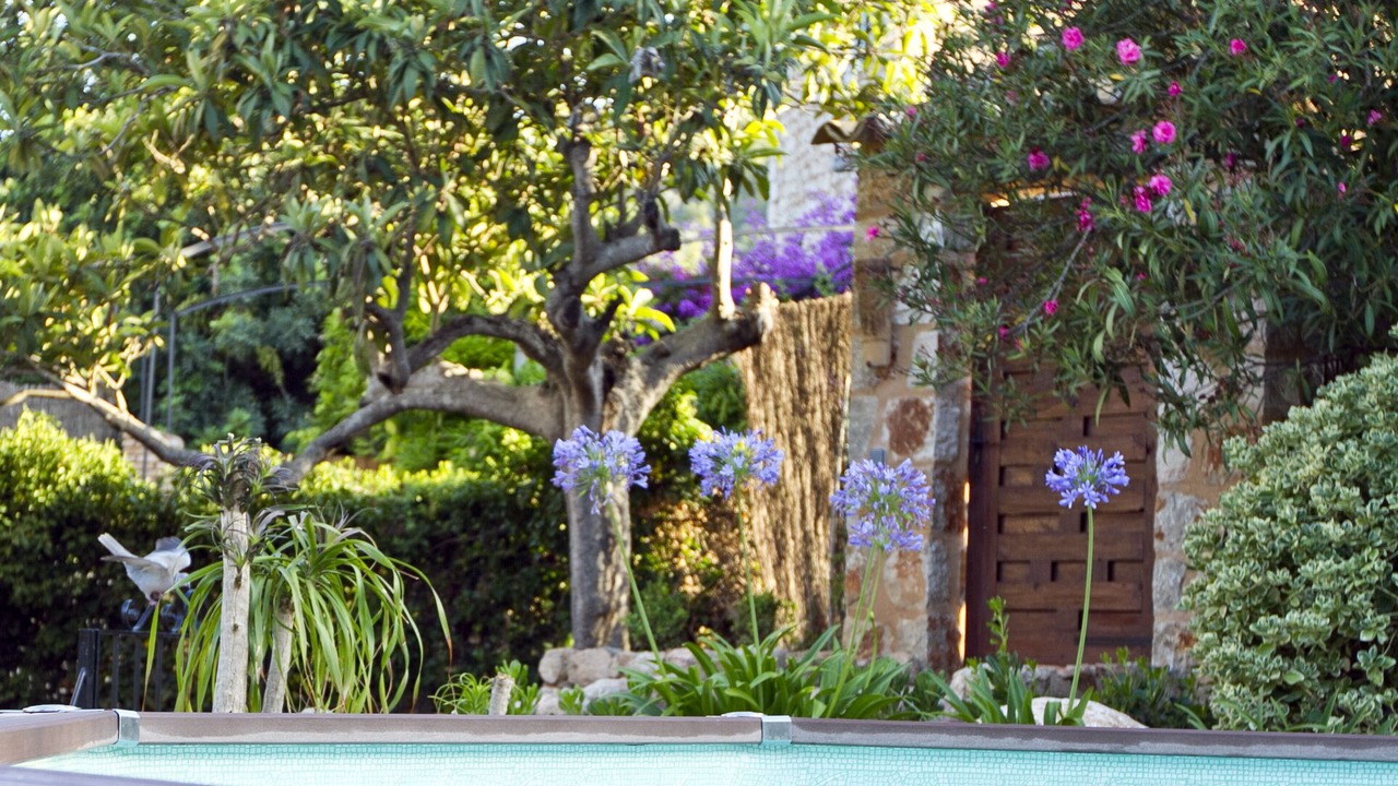 Photo of Outdoor in Biniaraix