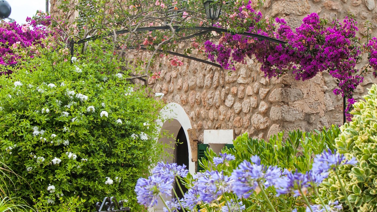 Photo of Outdoor in Biniaraix