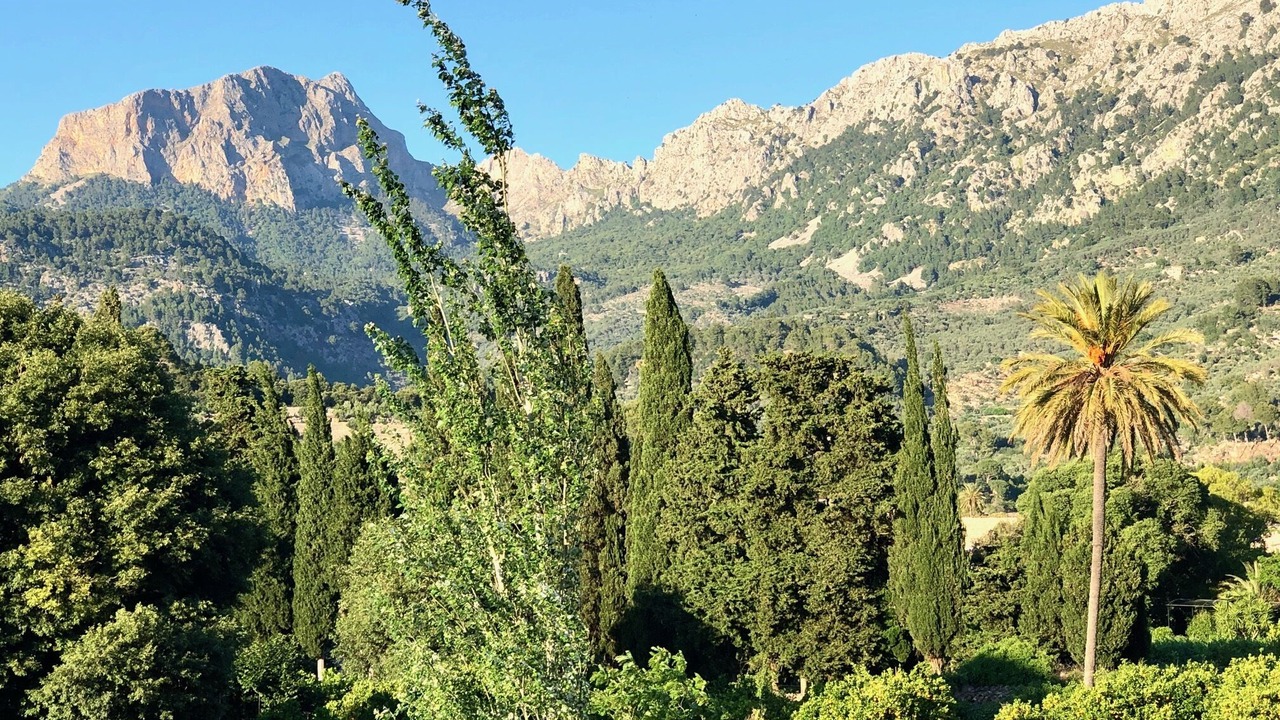 Photo of Outdoor in Biniaraix