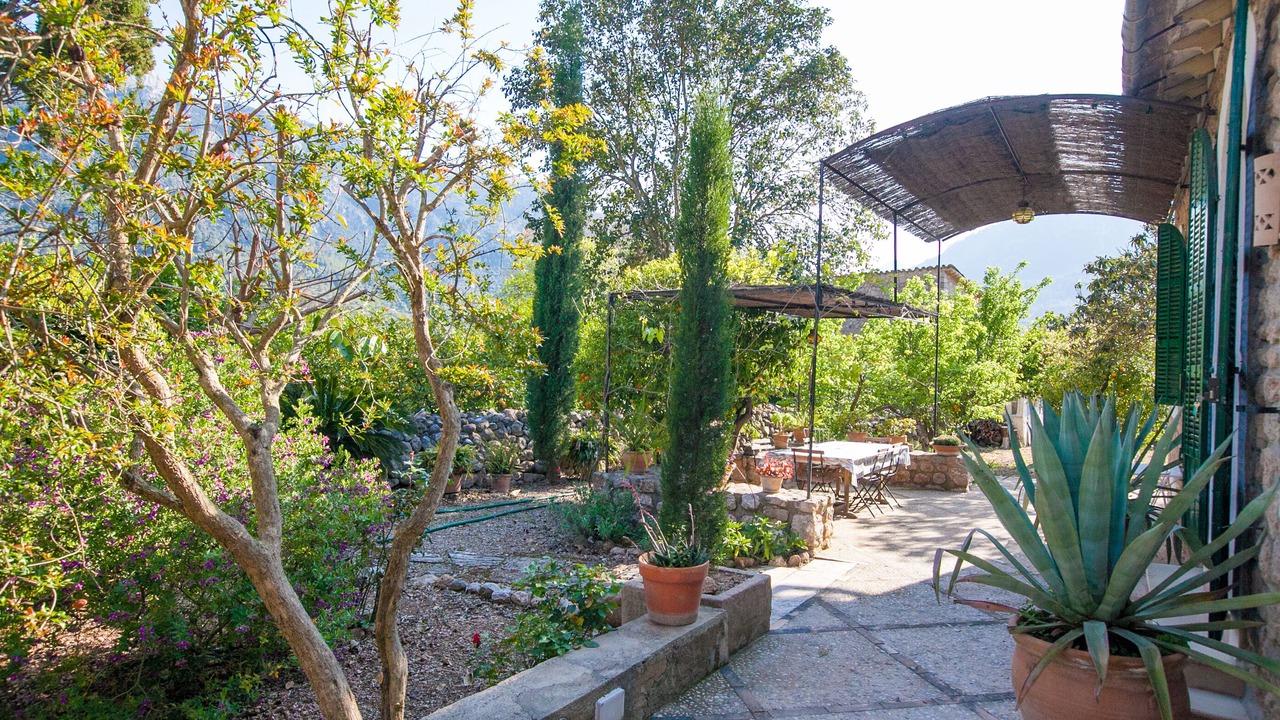 Photo of Outdoor in Biniaraix