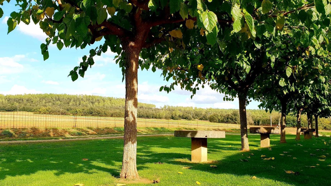 Photo of Outdoor in Queixas