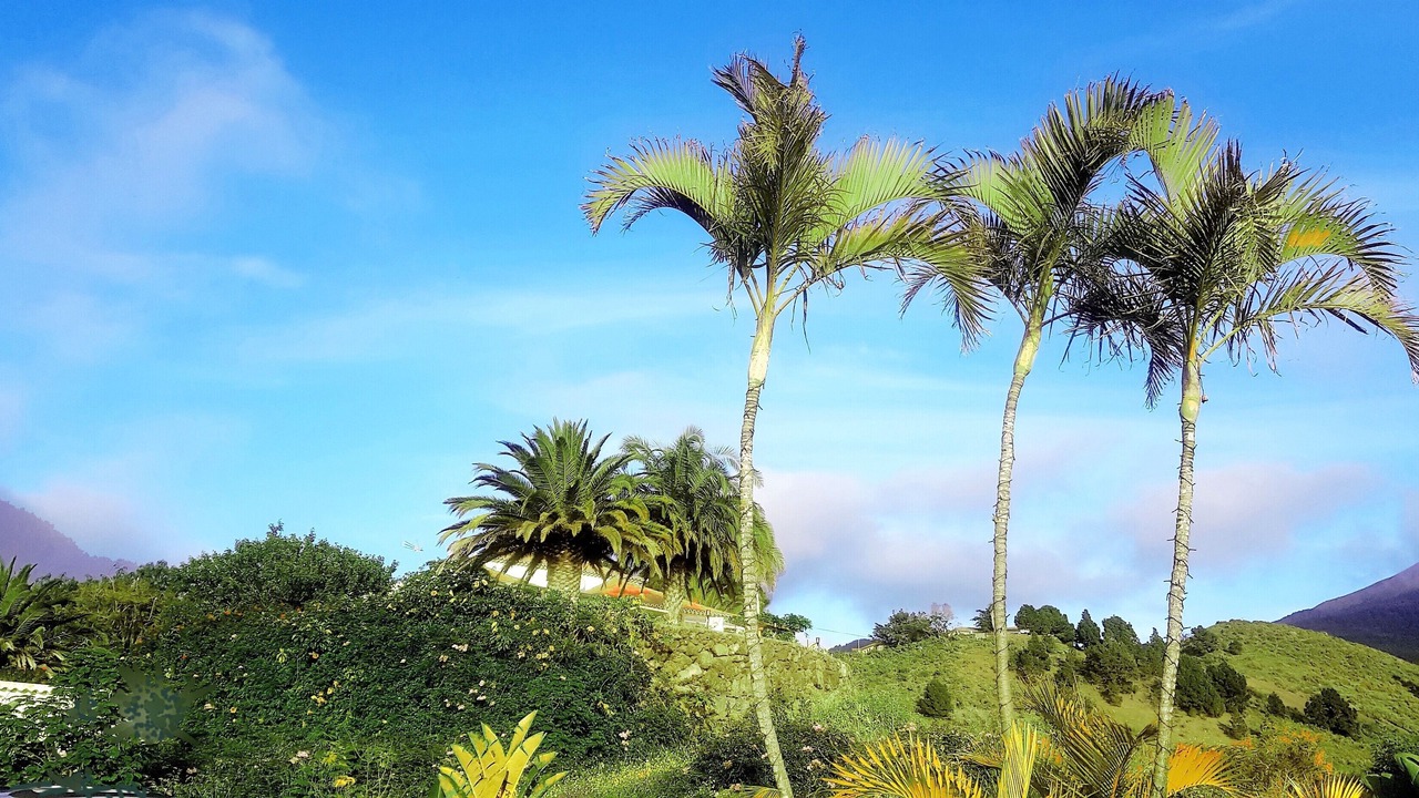 Photo of Outdoor in Tajuya