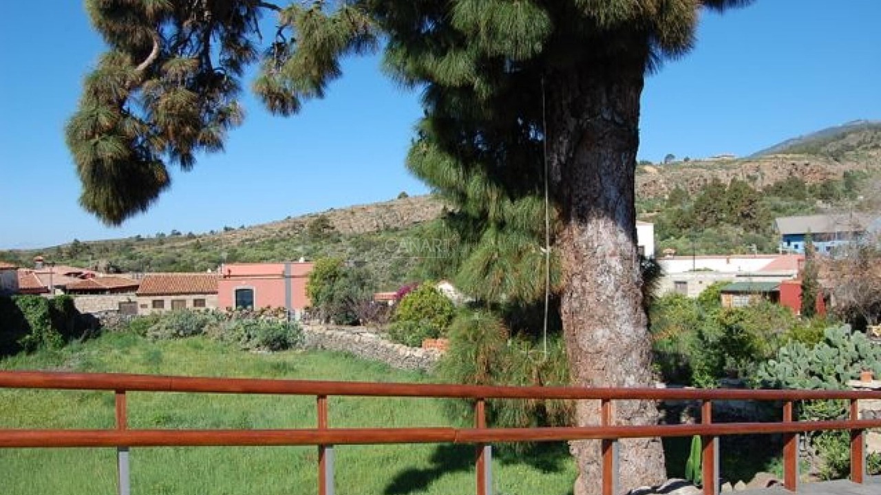 Photo of Outdoor in Las Vegas