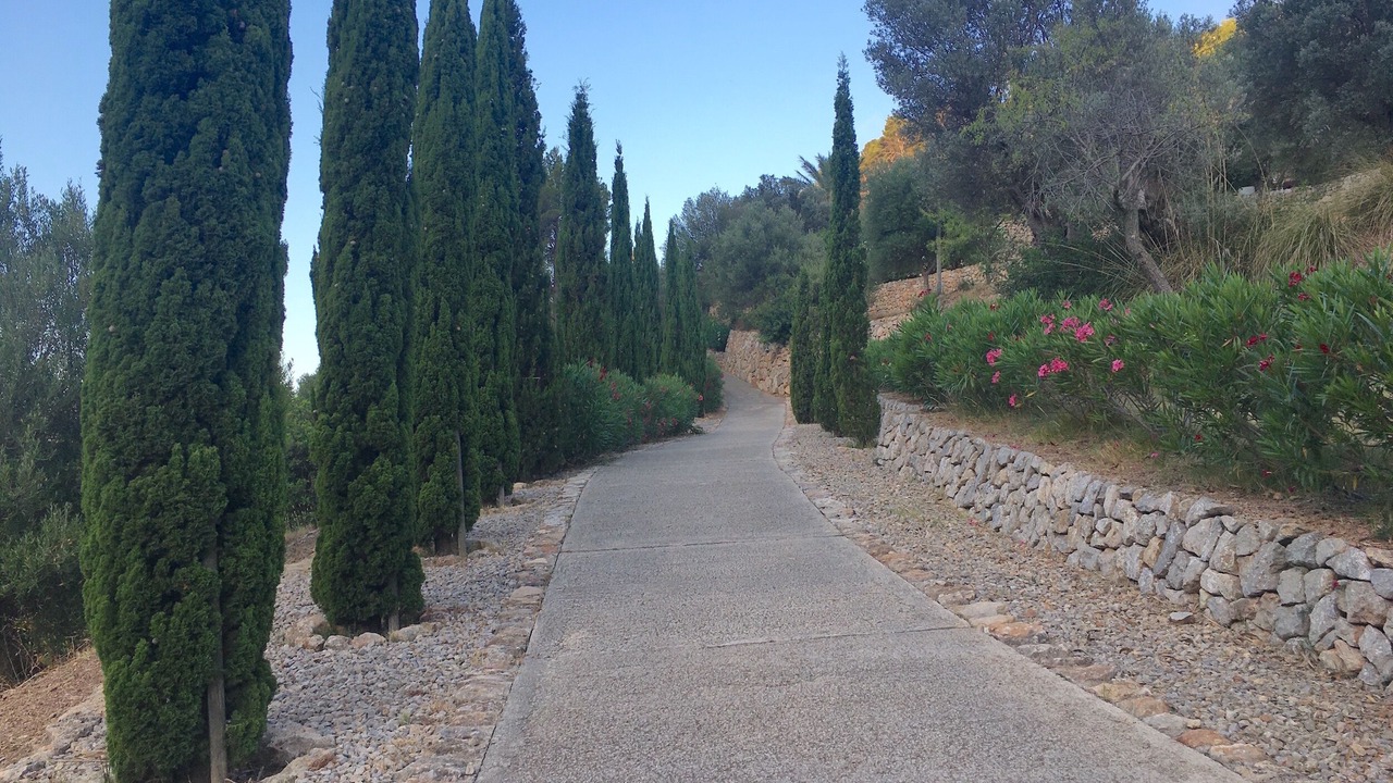 Photo of Outdoor in Andraitx
