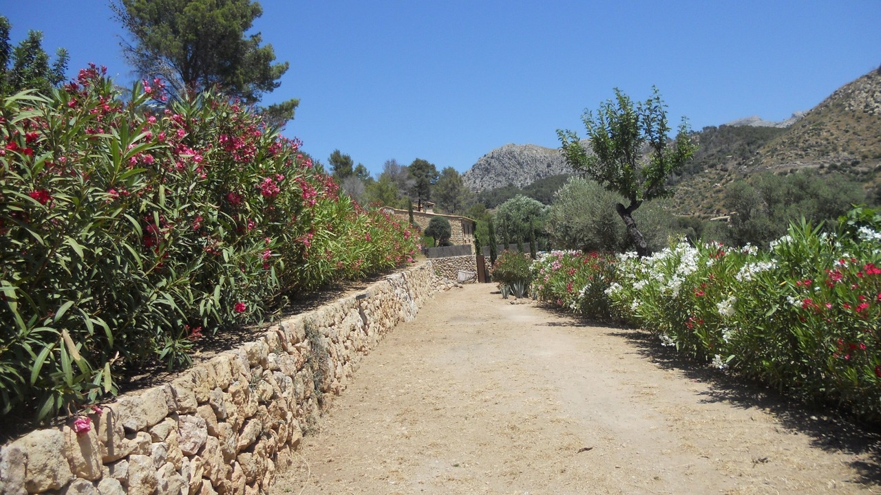 Photo of Outdoor in Andraitx