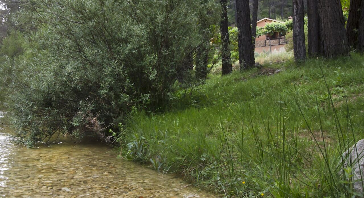 Photo of Outdoor in Yeste